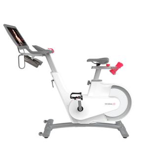 Купить Велотренажер Yesoul BV1-W PLUS в Питкяранте 